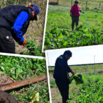 Parque Huerta La Tablada: cuando la tierra pública se pone al servicio de la demanda de alimentos y trabajo