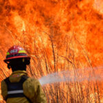 Incendios en Córdoba: declararon la emergencia ambiental por 180 días