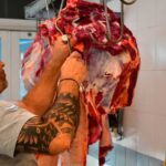 La carne vacuna aumentó alrededor del 5% y el sector advierte que no ven chances de recuperación