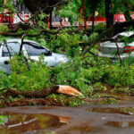 Tras la tormenta, apuntan a completar el 95% del abordaje de reclamos el fin de semana